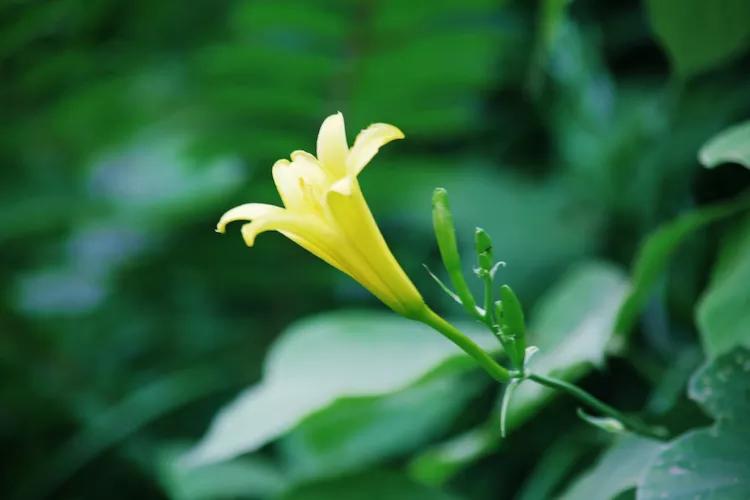 尼康入门单反,单反快速入门攻略