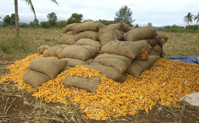 保定卖洗衣液赚钱吗,保定开一个零食店挣钱吗