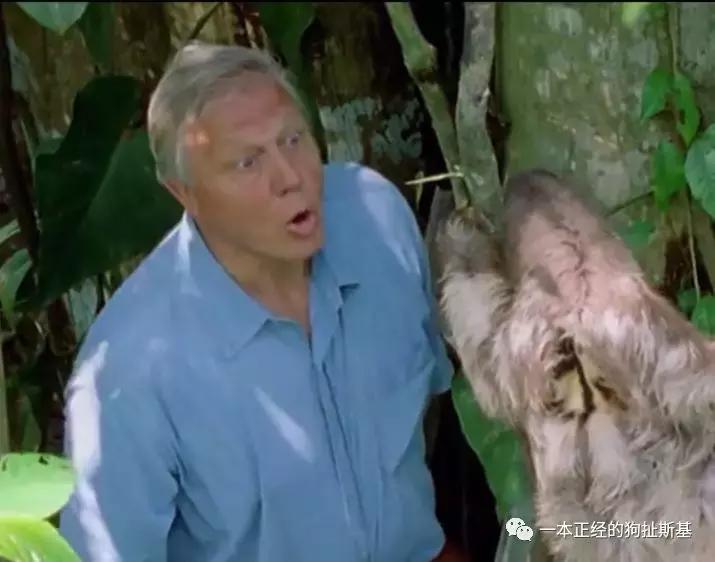 大卫爱登堡致辞,大卫爱登堡国语版