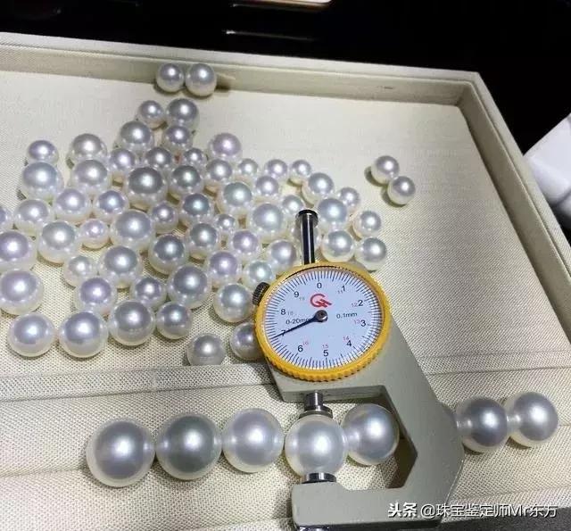 澳白南洋珍珠是什么,澳洲白珍珠为什么那么便宜