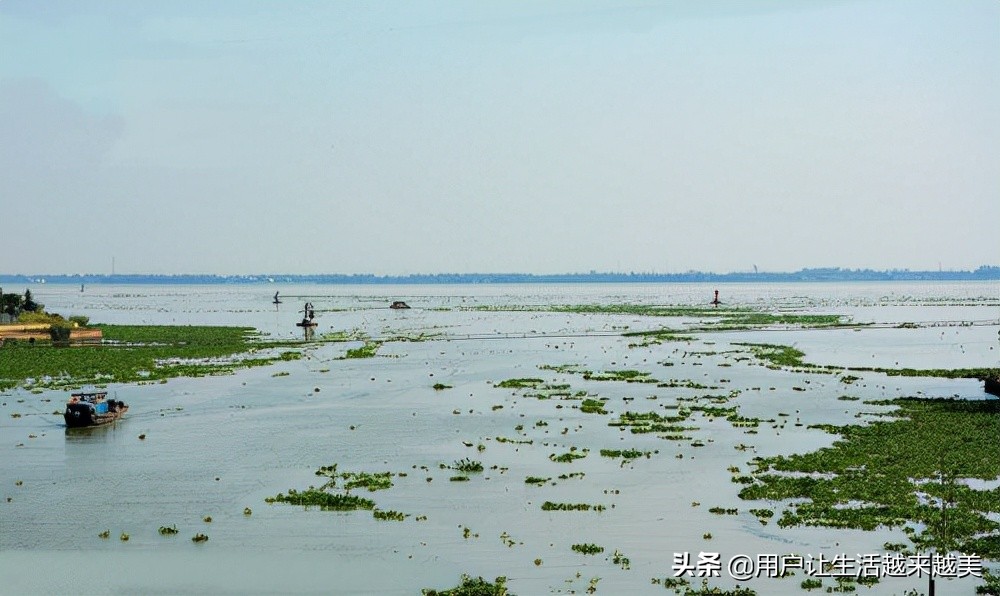 淀山湖真美,上海淀山湖风景区介绍