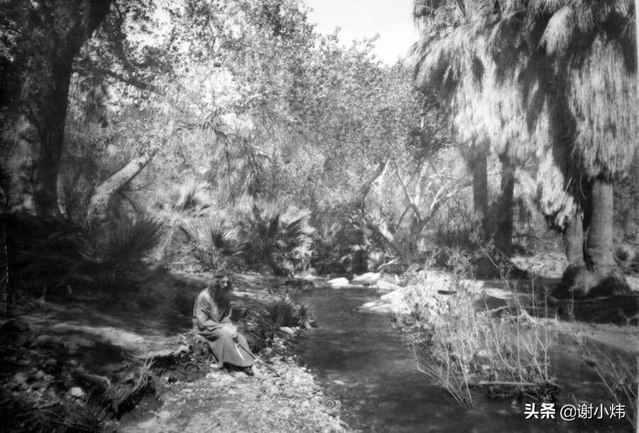 美国“嬉皮士”第一人是德国人,为逃兵役横跨大西洋来到加州沙漠