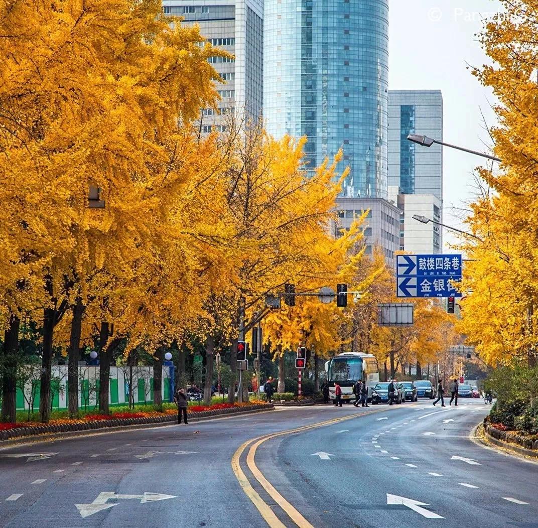 南京是属于哪个省的,南京是现在的哪个城市