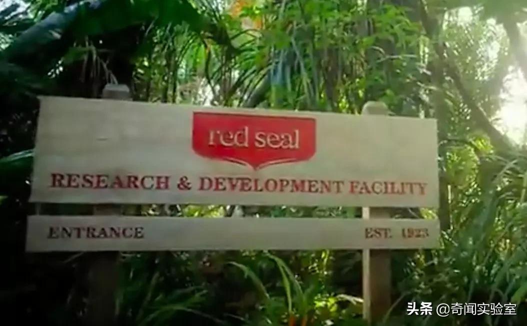 牙齿黄怎么办什么牙膏可以洗干净,牙齿变黄了怎样快速清洁