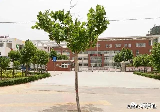 郑州公立小学20强,郑州私立小学大比拼