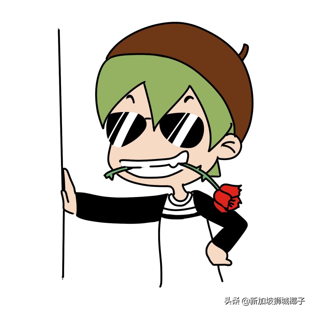 如果胜新加坡能进世界杯吗,新加坡有没有进世界杯