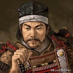 日本100大城堡,日本百大城堡复原图