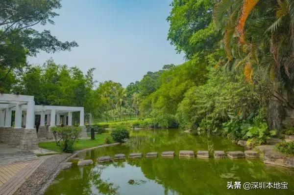 深圳最值得免费去的十大景点,深圳有哪些地方是免费景点