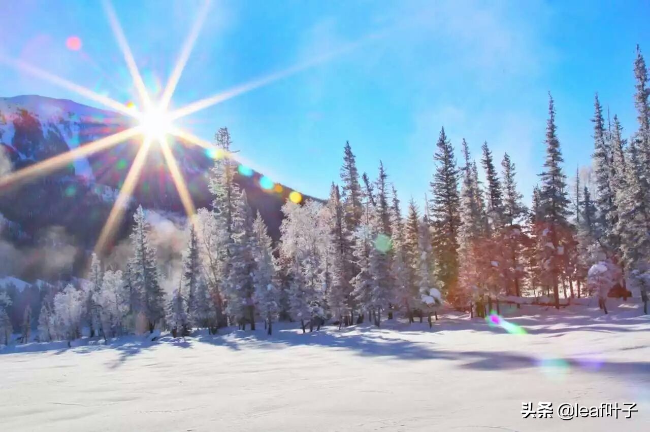 冬季*疆新**喀纳斯打卡必做list