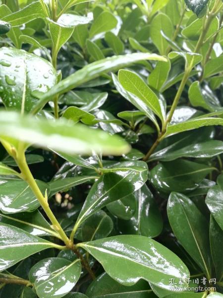 读书修心提高自律,读书明理励志修身