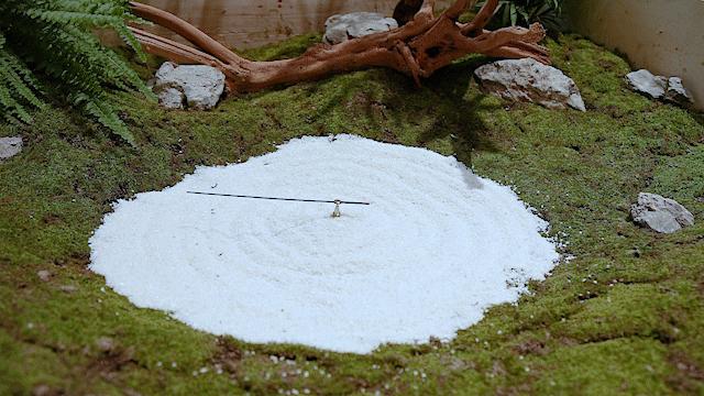 时髦精都在逛的hAomArket好市，一站式承包你的冬日小众好物