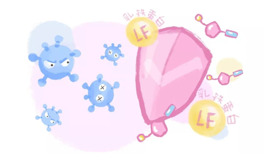 宝宝乳铁蛋白产品全解析,宝宝乳铁蛋白黑榜