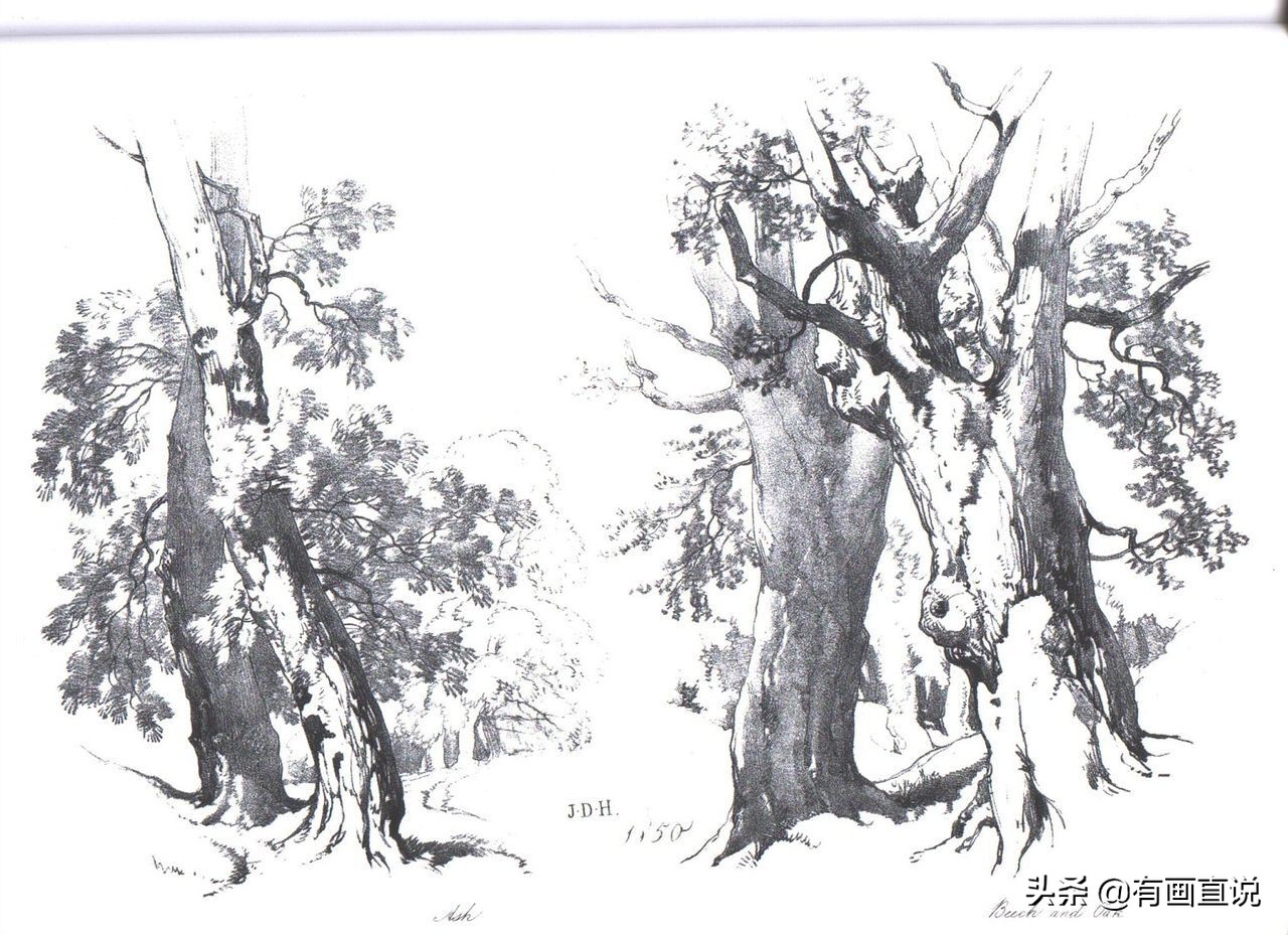 素描临摹高清大图初学,素描教程初学者临摹图