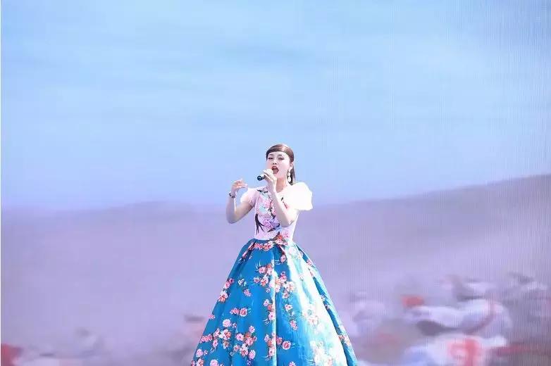 舞阳县最新项目推进,舞阳县最新重点项目