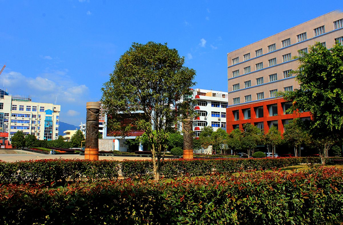 浙江台州温岭发展,乐清温岭对比