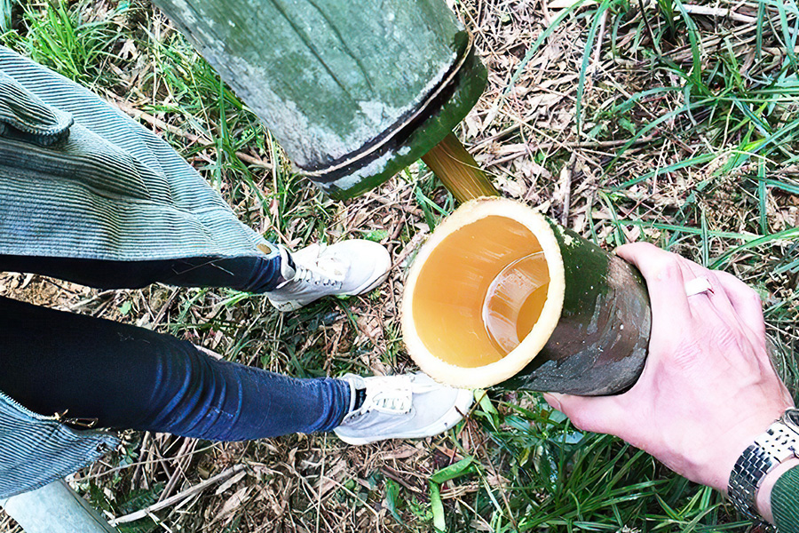 竹子里的酒是不是骗人的,竹子酒骗局揭秘视频