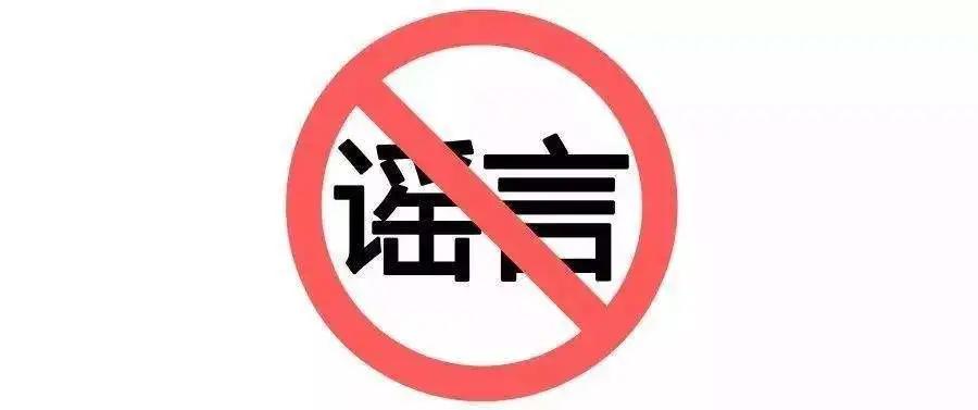 洋葱白醋洗头真的能治白发吗,洋葱和鸡蛋洗头可以治白发吗