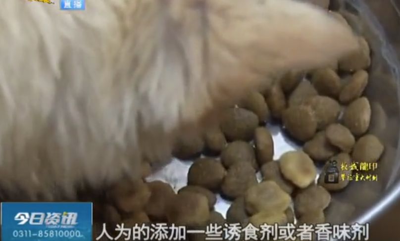 河北狗粮生产作坊,三无作坊生产狗粮