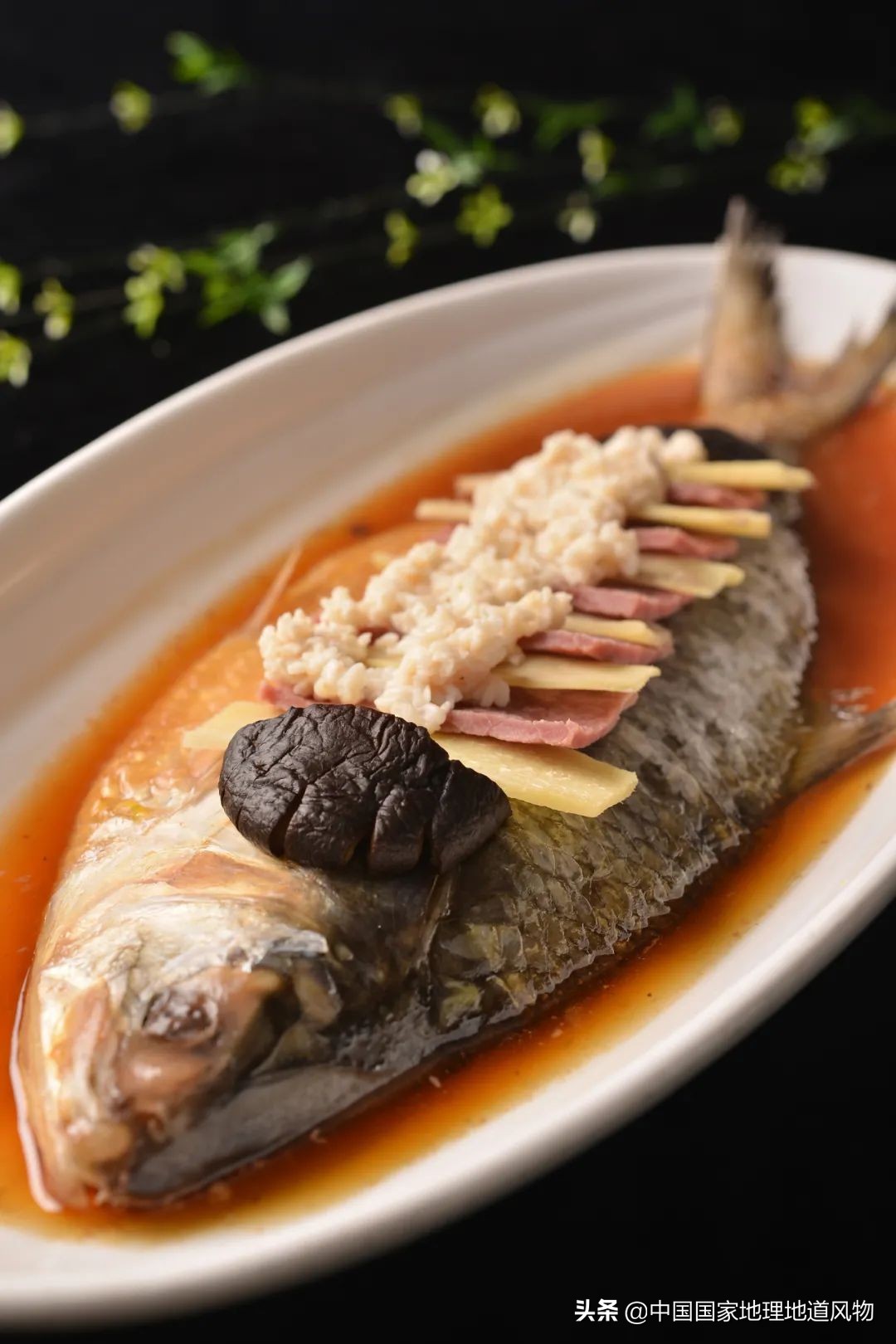 在酒缸里长大的人,泡在酒缸里的人