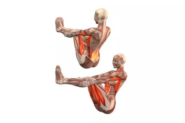 最快收腹的方法,最有效果的收腹动作