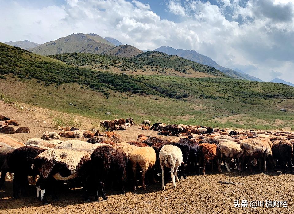 万科集团和保利,保利和万科的现状