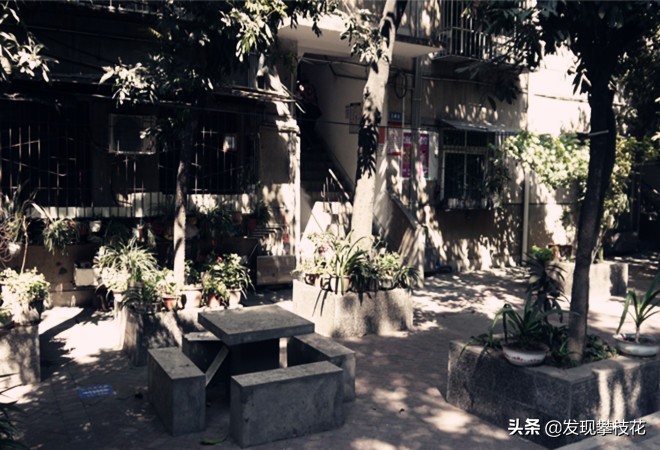 船厂生活区小区,攀枝花渡口船厂小区简介