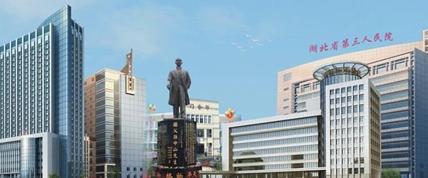 真香预警！不限购+低单价，投资新洲必看项目之一