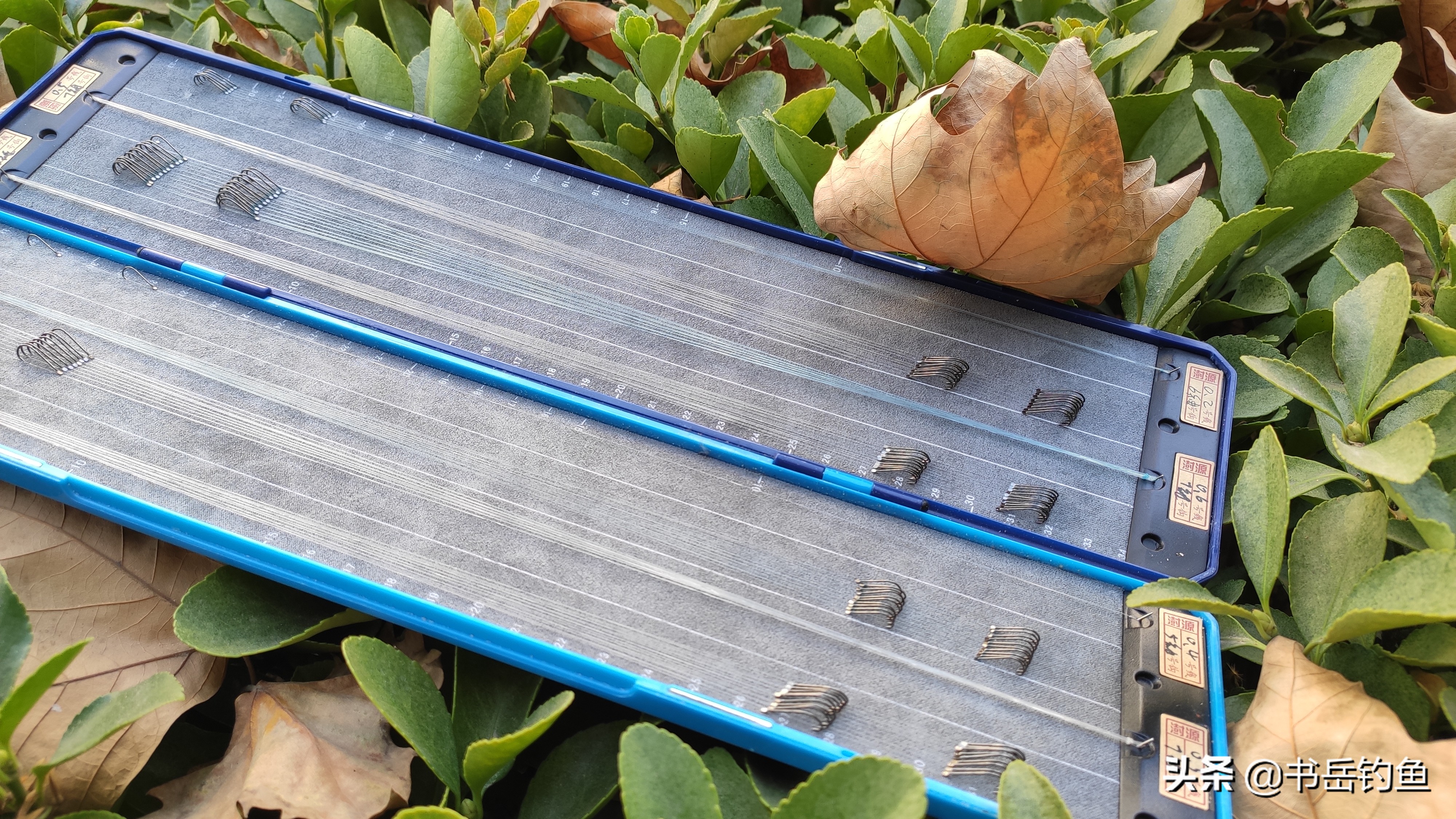 双十一钓鱼用什么钓具好,什么时候买钓具便宜