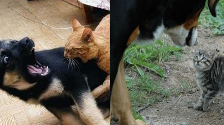 夫妻之间最基本的沟通都没有,婚姻里夫妻这样沟通最有效