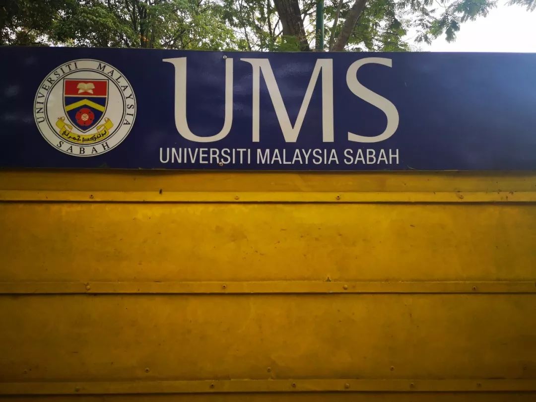 昨日重现2019完整版,昨日重现新加坡