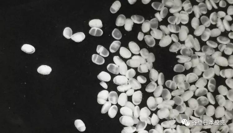 日本green清酒,日本清酒轻酒会