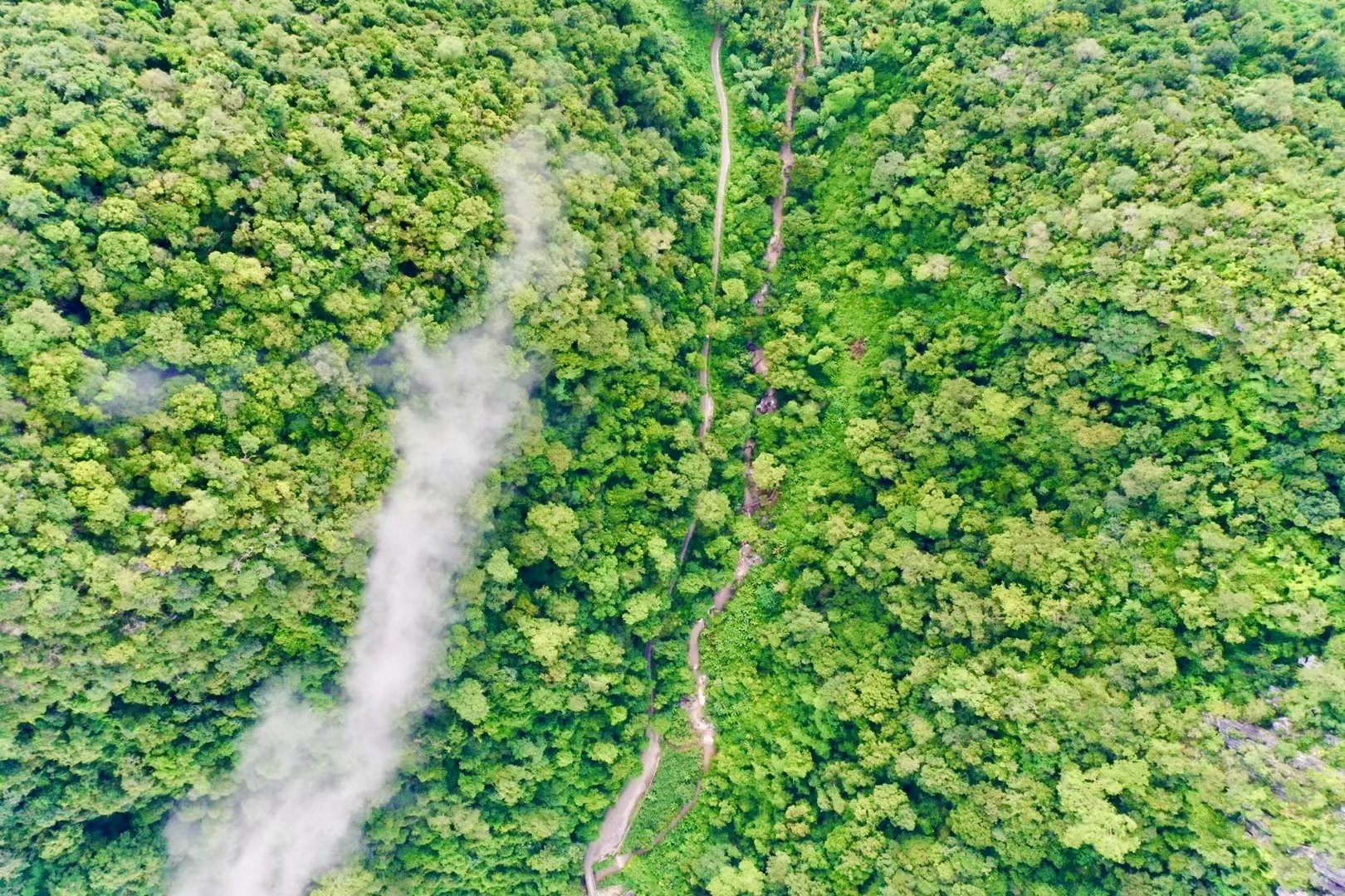地球上最复杂最庞大的生态系统是,世界上最大的热带雨林生态系统