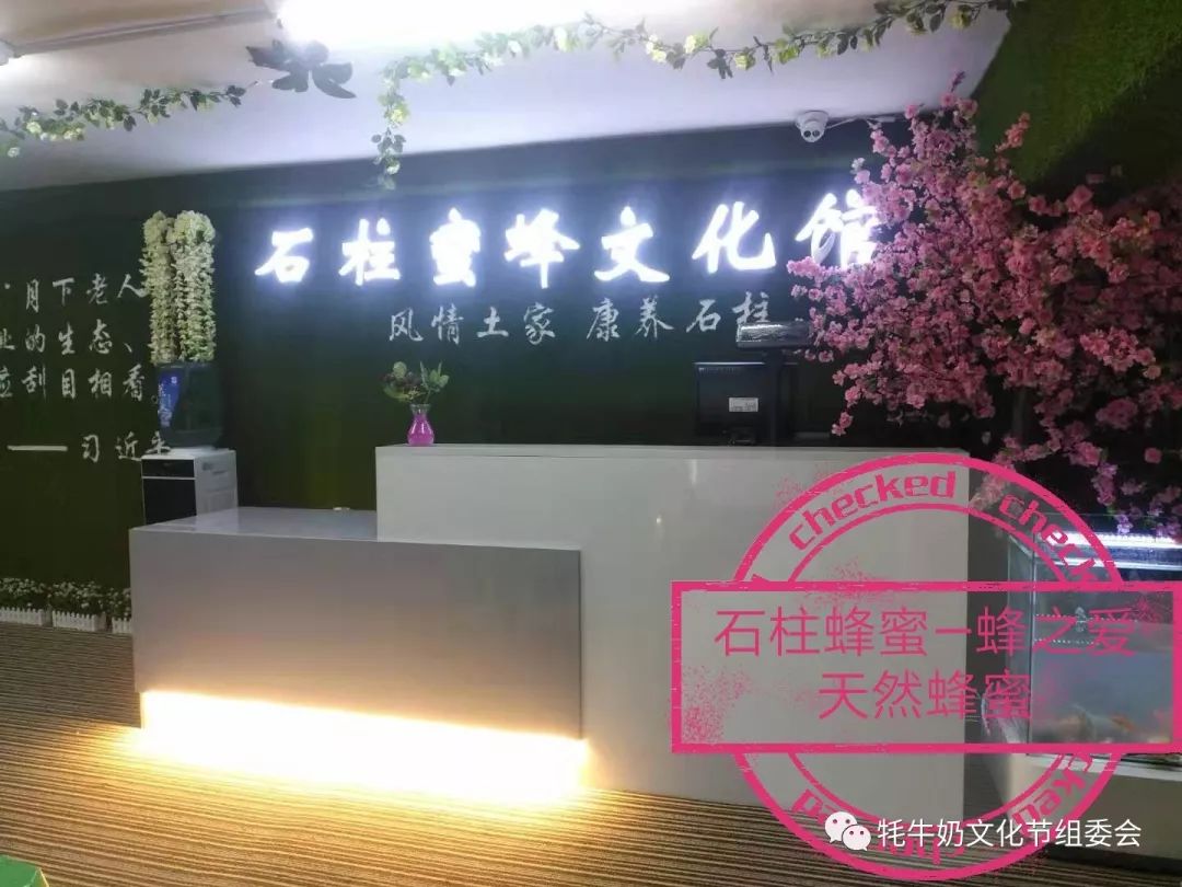 牦牛文化节,西藏牦牛奶平台