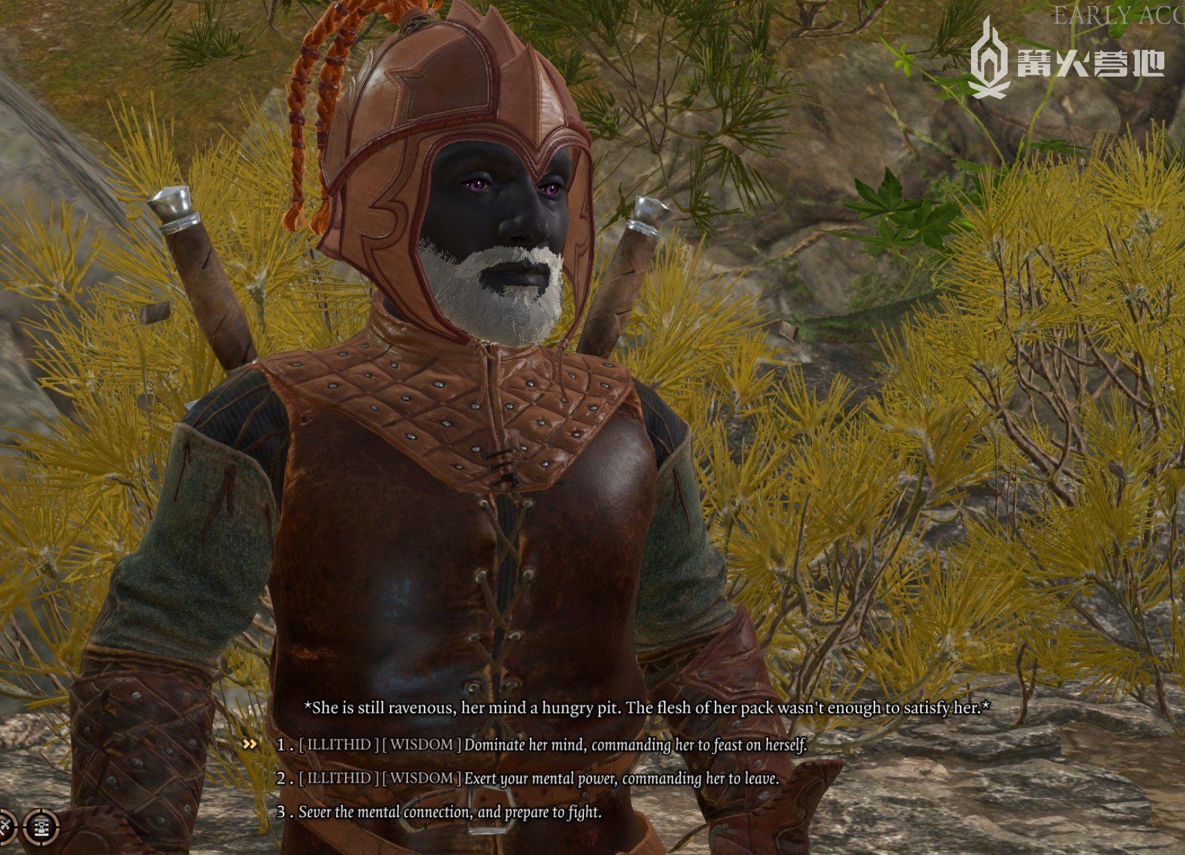 博德之门3目前版本号,博德之门3听取玩家意见么