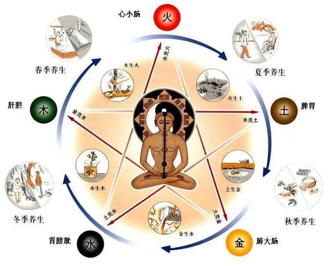 中医五行学说里面心属于什么,中医阴阳五行学说教学视频