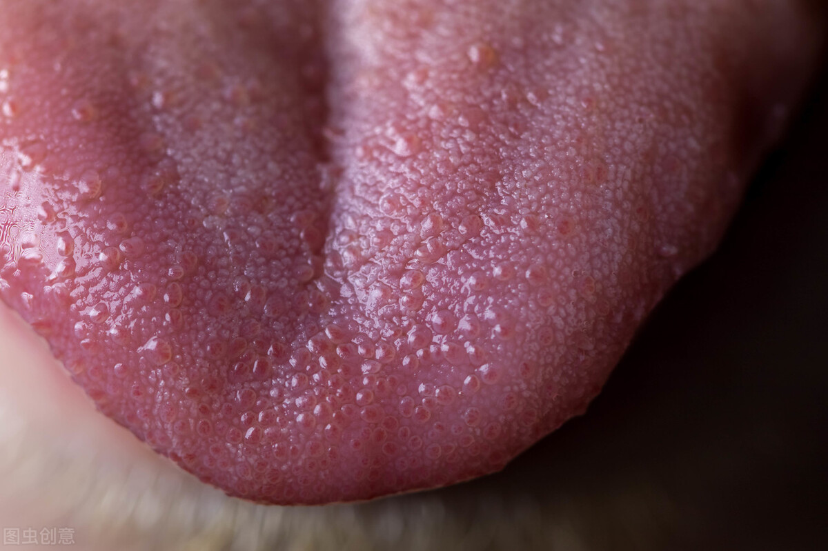 治湿气余絮：阴虚夹湿怎么办？