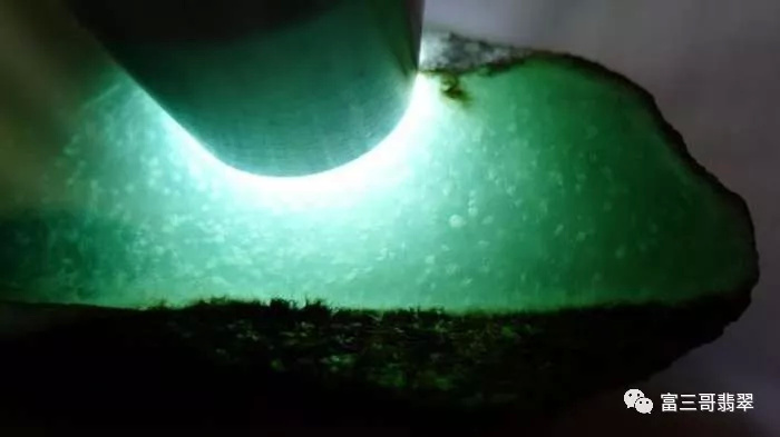 你分得清月季和玫瑰吗,你分得清绿茶吗