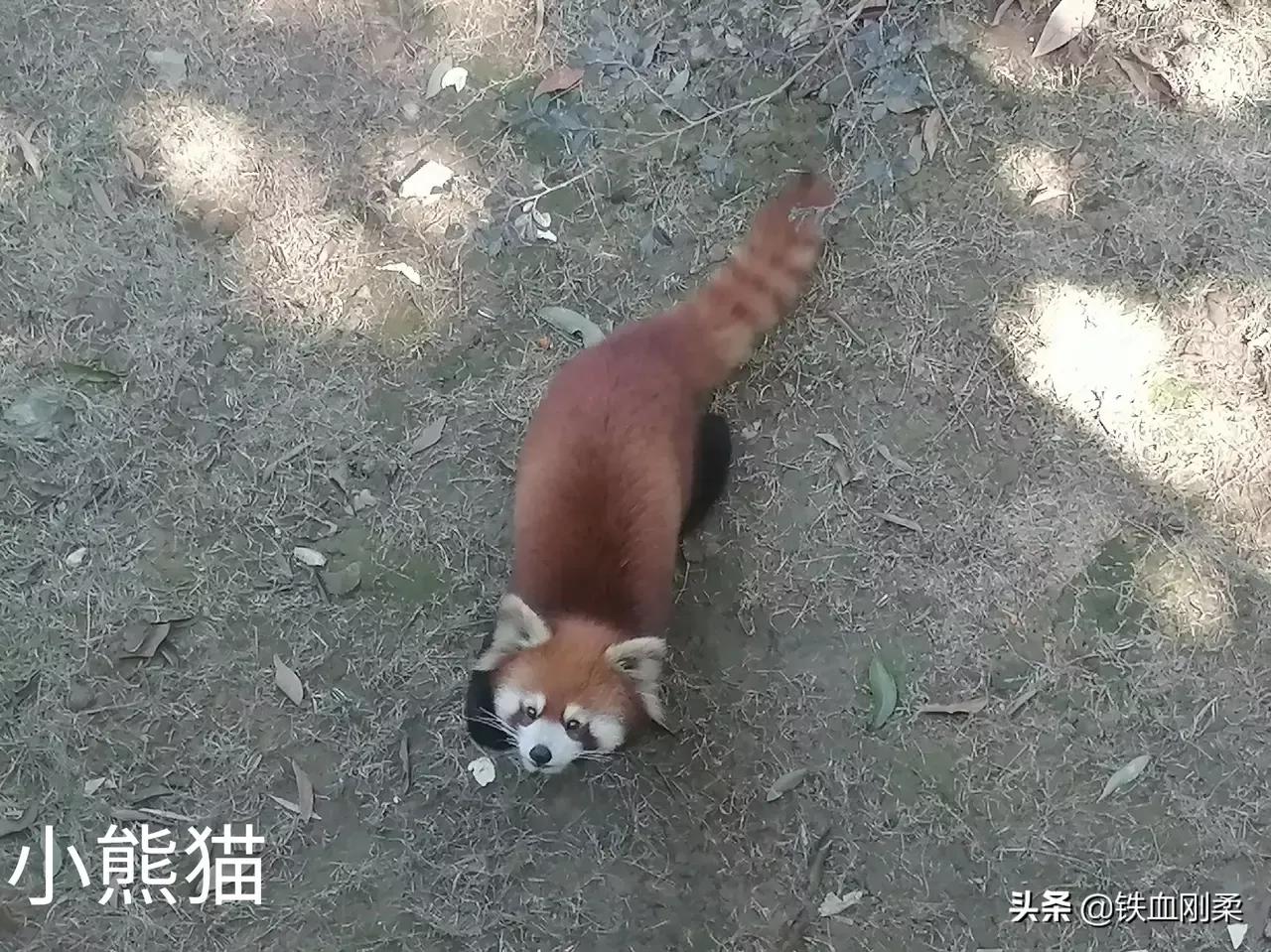 西双版纳景洪市景色壮丽的地方,西双版纳景洪市有什么好玩的景点