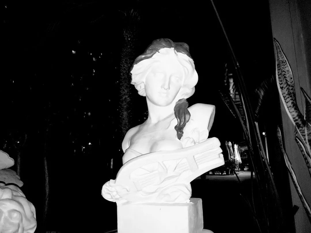 九月分享橱窗好物,九月分享穿搭