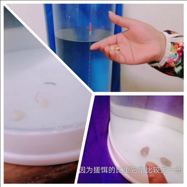 钓鱼没有技巧全靠资源,钓鱼没口怎么办让我来教你吧