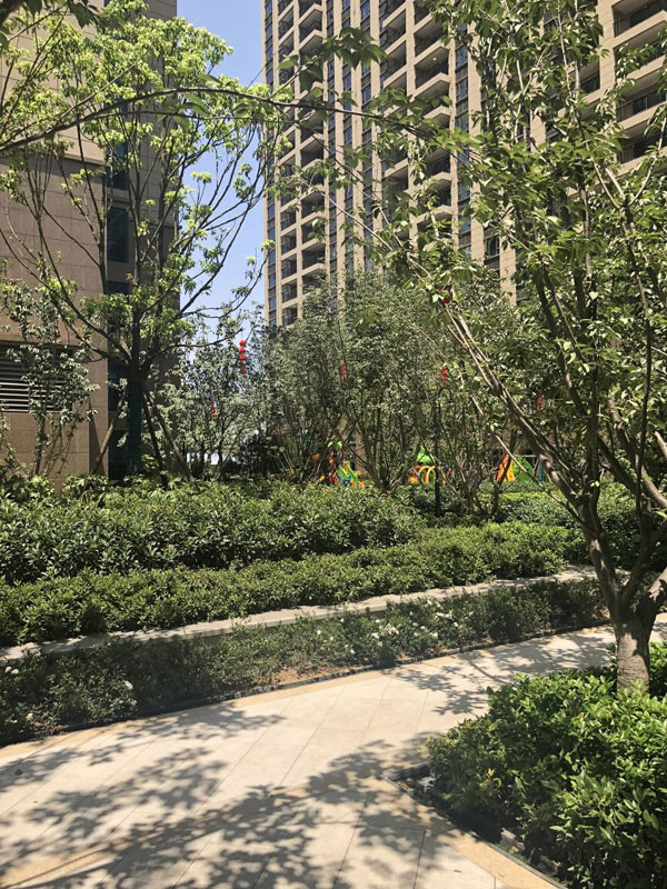 碧桂园欧洲城风貌,碧桂园欧洲城现房价格