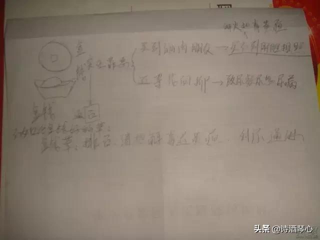 中医金钱草的功效与作用,含金钱草的经方