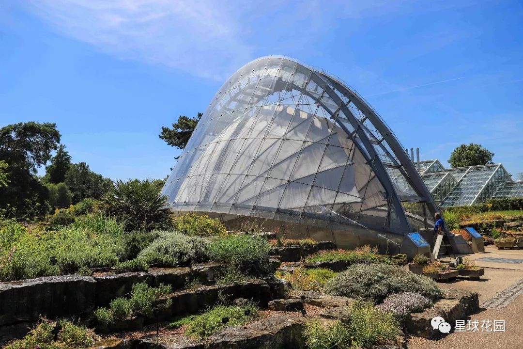 二木带你游花园|邱园（kewgarden）离我们到底有多远？