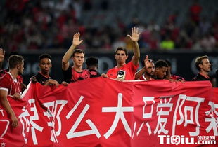 足球情人节特别篇,足球狗情人节