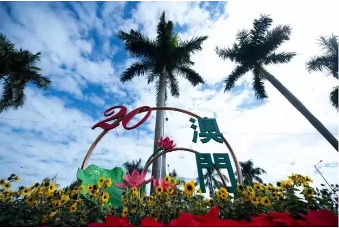 青州市新闻最新消息,青州市最新新闻