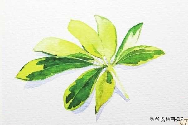 怎么才能画好水彩画,如何画好水彩只需掌握这5点