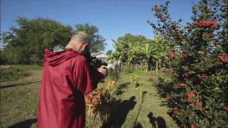大家都在争抢猫爪杯？吸猫的最高境界，带着摄影机“猫步走天下”
