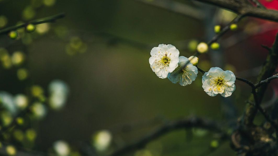 古诗最是一年春好处,表达一年收获感慨的诗句