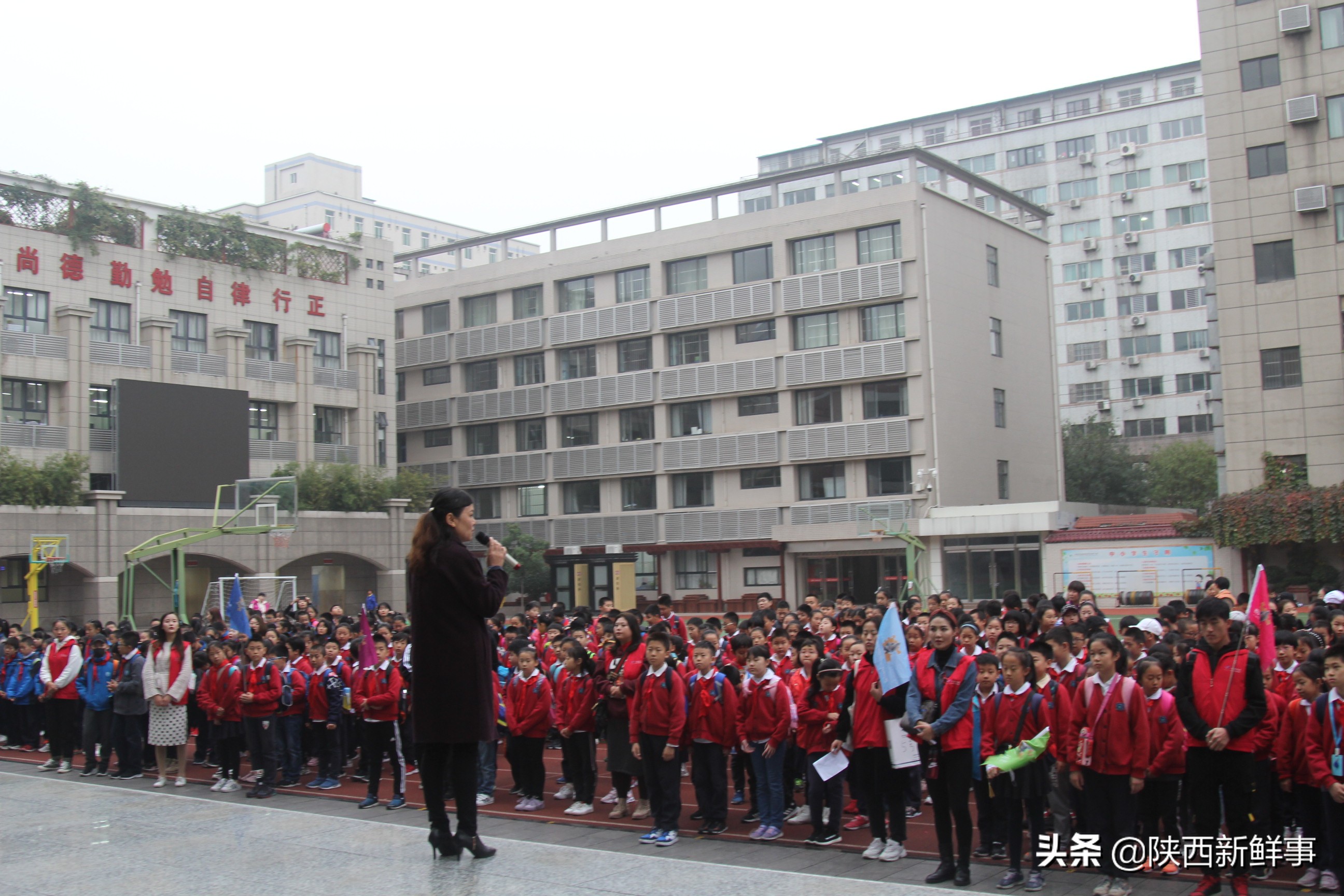 放飞海洋梦想感受丝绸传奇观后感,放飞海洋梦想感受丝路传奇研学题