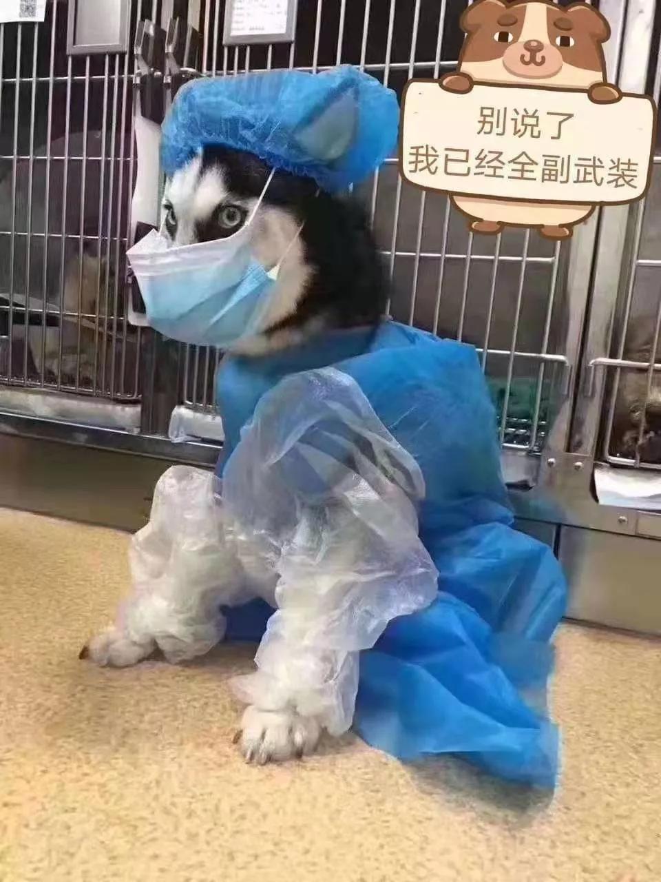 虚假出售口罩诈骗案宣判,浙江首例疫情口罩诈骗案